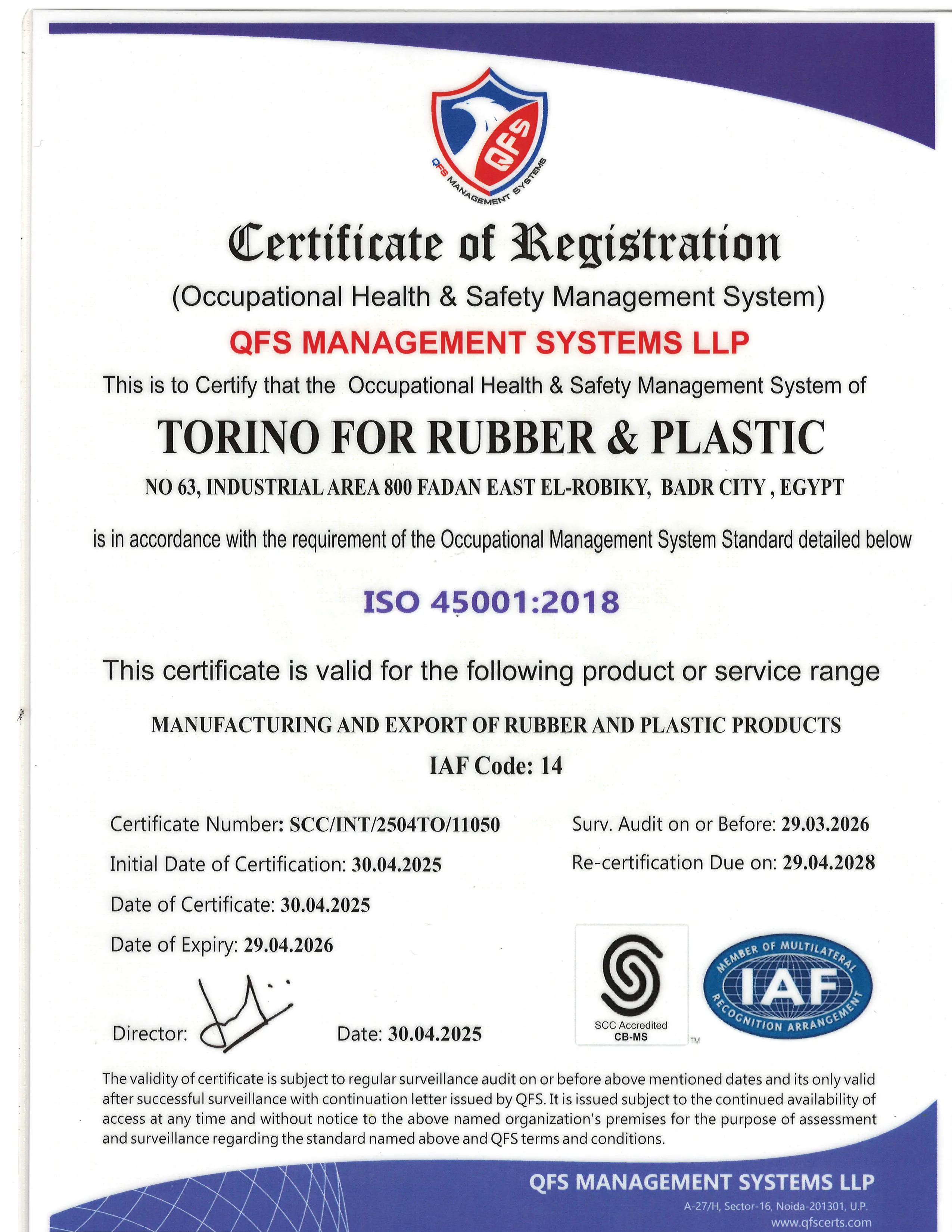 ISO 45001:2018 Occupational Health & Safety Management Certificate — Torino for Rubber & Plastic