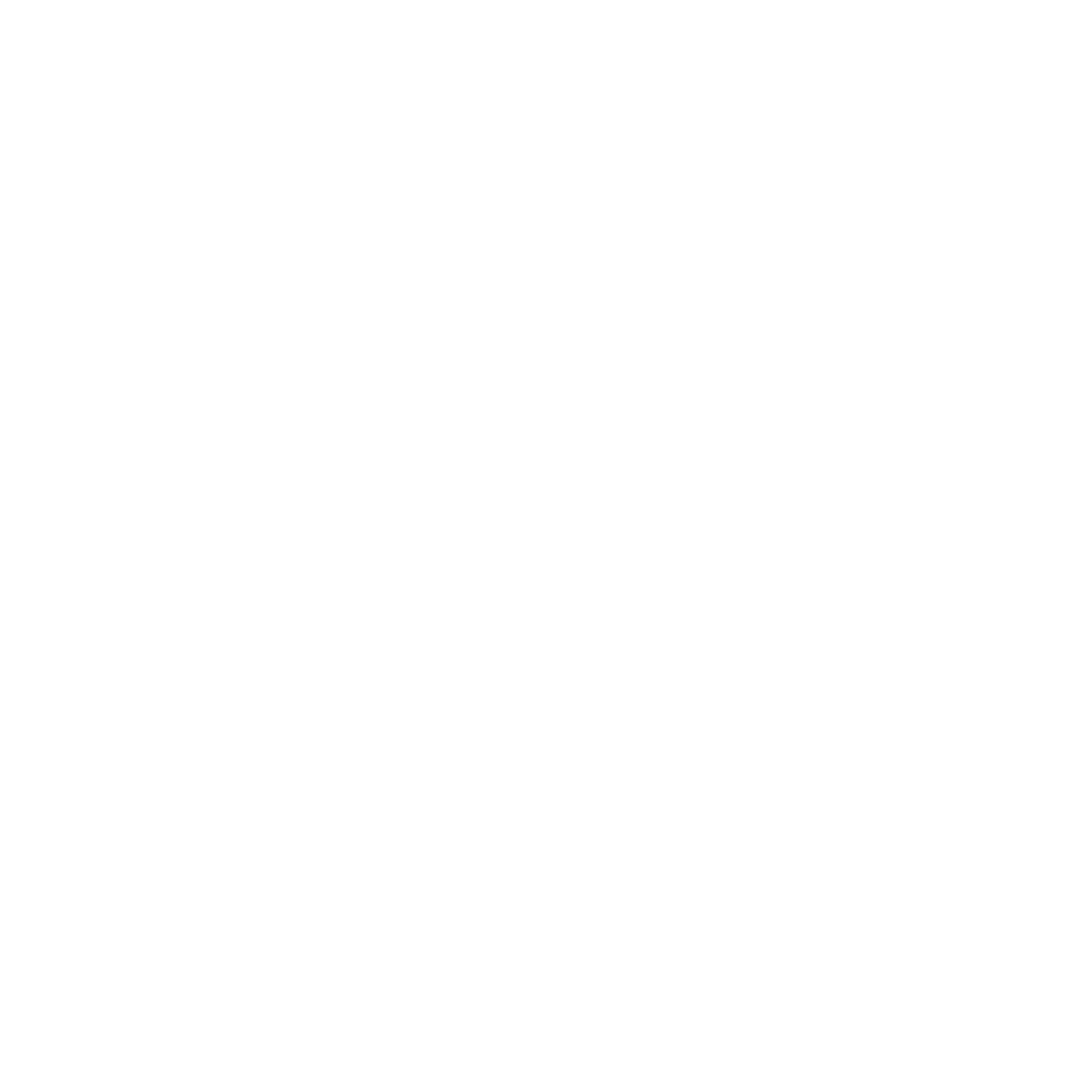 ElnoorStore Logo